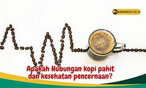 Apa Fungsi Kopi Pahit Untuk Kesehatan